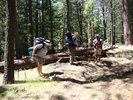 photo thumbnail #1