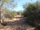 photo thumbnail #2