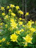 photo thumbnail #14