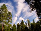 photo thumbnail #15