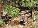photo thumbnail #7