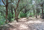 photo thumbnail #14