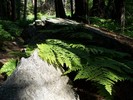 photo thumbnail #9