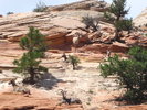 photo thumbnail #14
