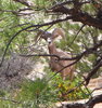 photo thumbnail #15