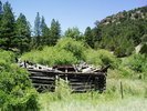 photo thumbnail #1