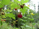 photo thumbnail #5