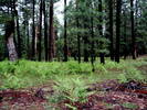 photo thumbnail #12