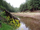 photo thumbnail #14