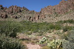 photo thumbnail #7