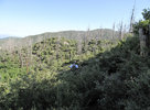 photo thumbnail #2