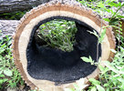 photo thumbnail #6