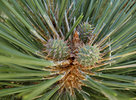 photo thumbnail #10