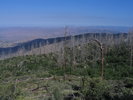 photo thumbnail #4