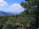photo thumbnail #8