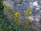 photo thumbnail #10