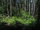 photo thumbnail #12