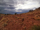 photo thumbnail #11