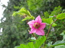 photo thumbnail #7