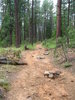 photo thumbnail #13