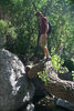 photo thumbnail #1