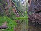 photo thumbnail #2