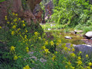photo thumbnail #3