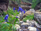 photo thumbnail #5
