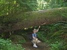 photo thumbnail #7