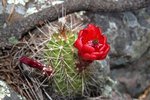 photo thumbnail #9