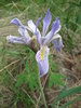 photo thumbnail #14