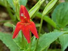 photo thumbnail #8