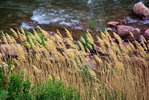 photo thumbnail #12