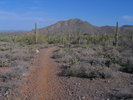 photo thumbnail #12