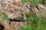photo thumbnail #15