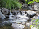 photo thumbnail #9