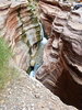 Featured Detail Photo