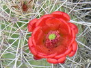 photo thumbnail #8