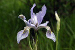 photo thumbnail #9