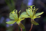 photo thumbnail #11