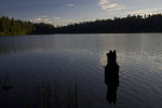 photo thumbnail #15