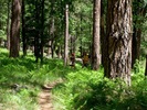 photo thumbnail #1