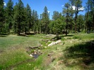 photo thumbnail #4