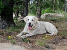 photo thumbnail #7