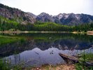 photo thumbnail #8