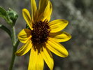 photo thumbnail #15