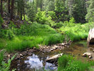 photo thumbnail #11