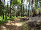 photo thumbnail #12