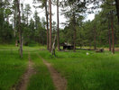 photo thumbnail #6
