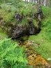 photo thumbnail #10
